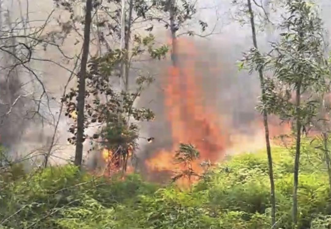 Cháy rừng gần nghĩa địa
